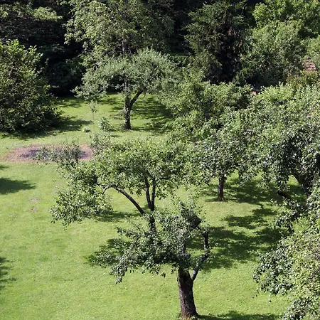 Apple Tree * Zagreb